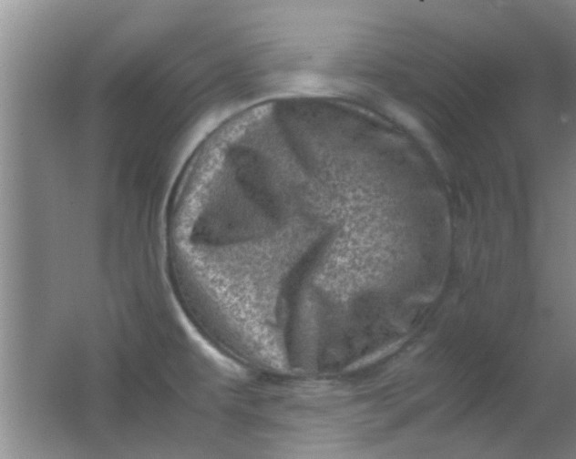 X0000062131479200512231424