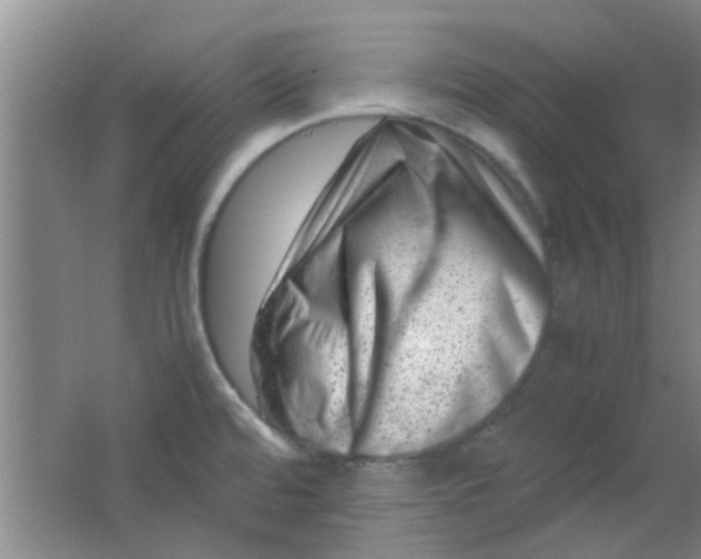 X0000062131480200512231424