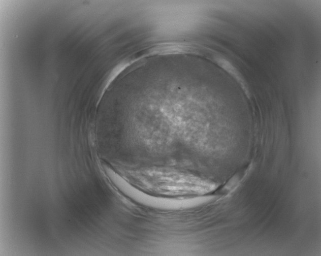 X0000062131481200512231424