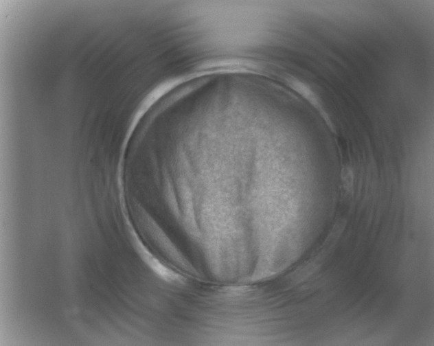 X0000062131482200512231424