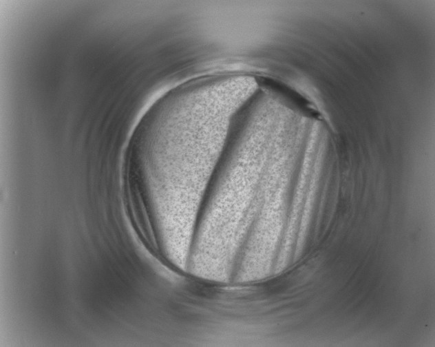 X0000062131483200512231424