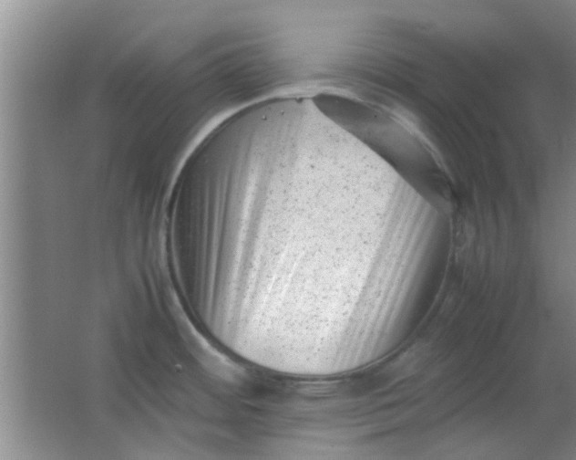 X0000062131484200512231424