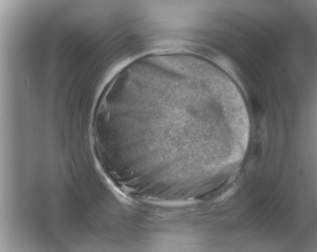 X0000062131485200512231424