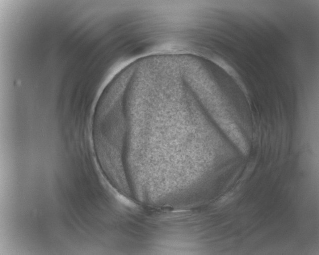 X0000062131486200512231424