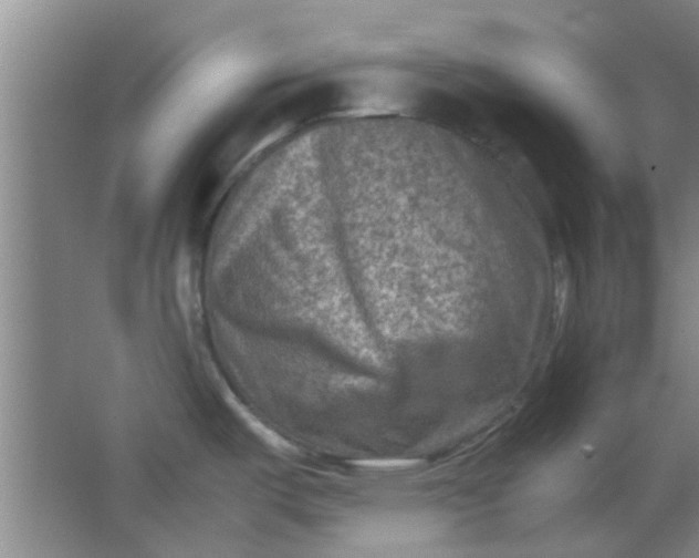 X0000062131487200512231424