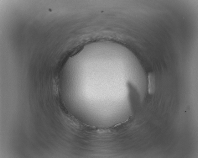 X0000062131491200512231423