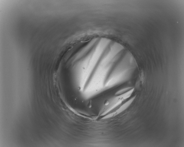 X0000062131492200512231423