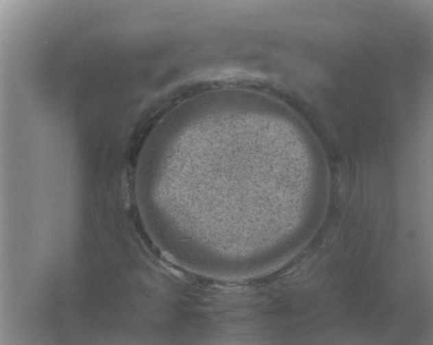 X0000062131493200512231423