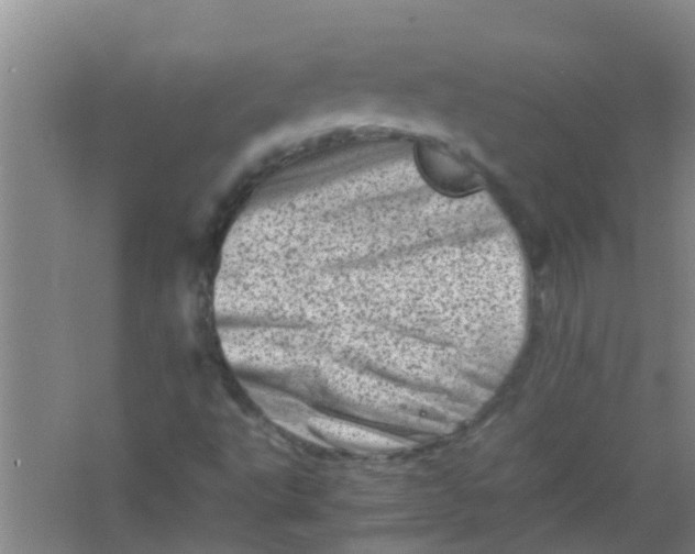 X0000062131495200512231423