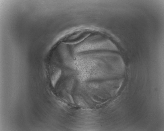 X0000062131496200512231423