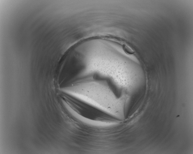 X0000062131497200512231423