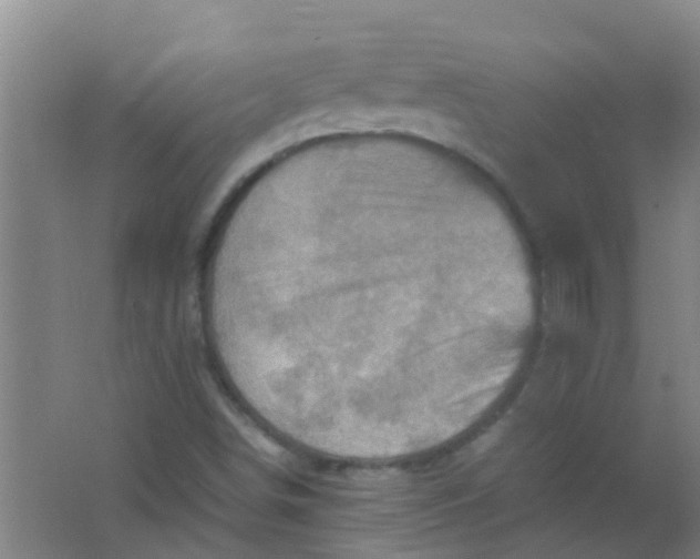 X0000062131498200512231423