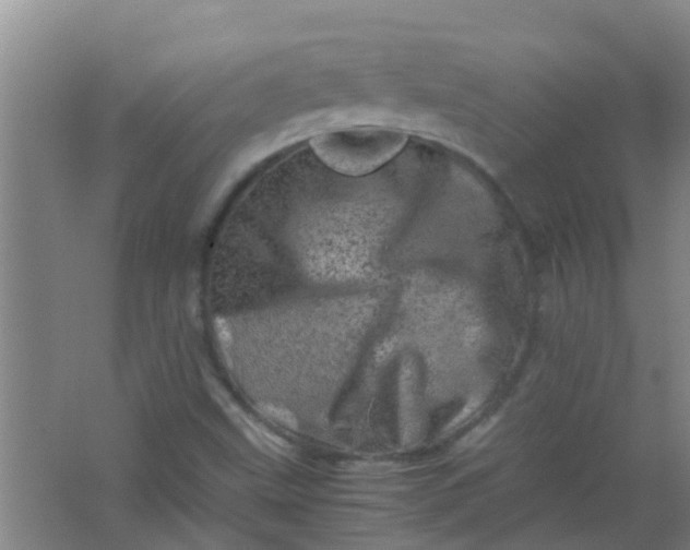 X0000062131499200512231424