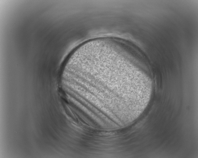 X0000062131501200512231424