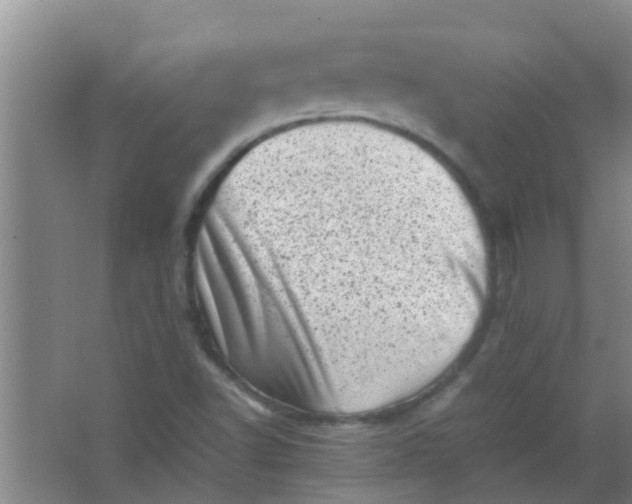 X0000062131502200512231424