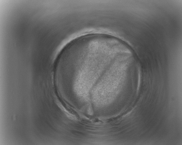 X0000062131503200512231424