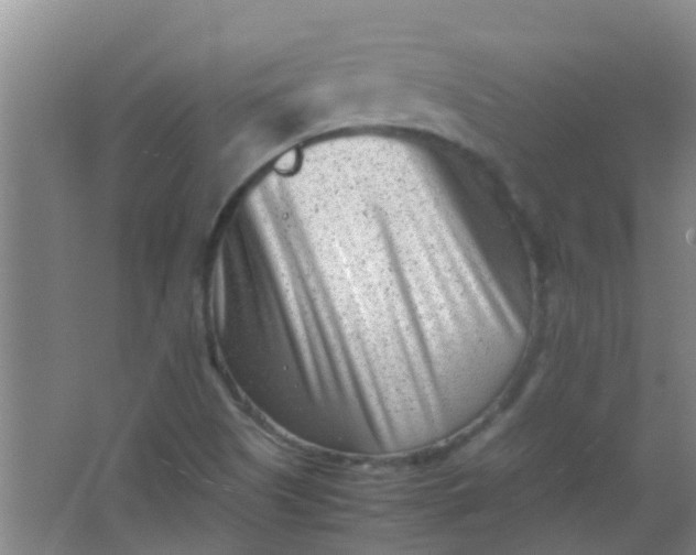 X0000062131505200512231424