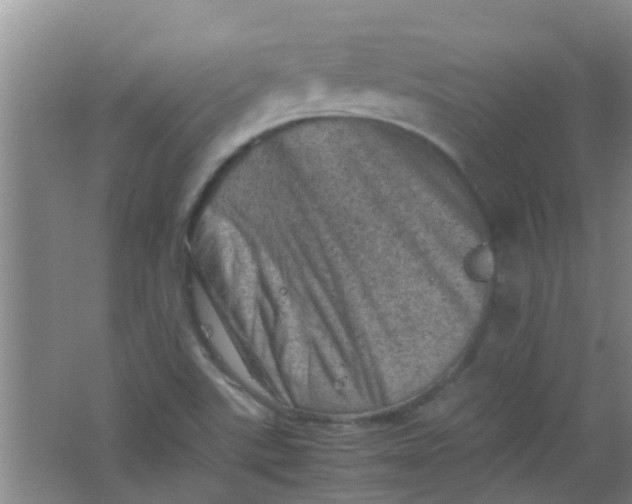 X0000062131507200512231424