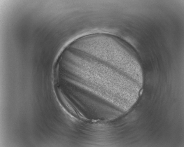 X0000062131508200512231424