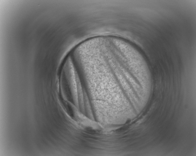 X0000062131509200512231424