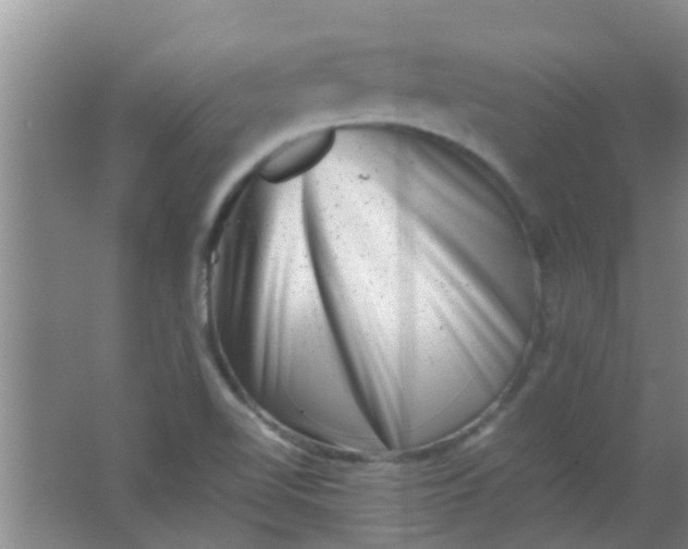 X0000062131510200512231424