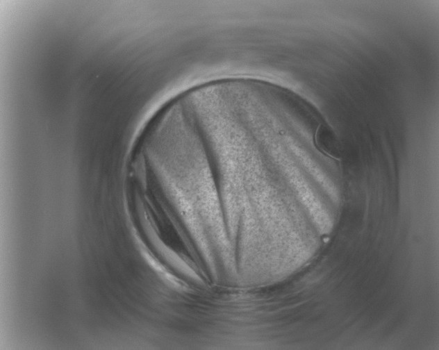 X0000062131511200512231424