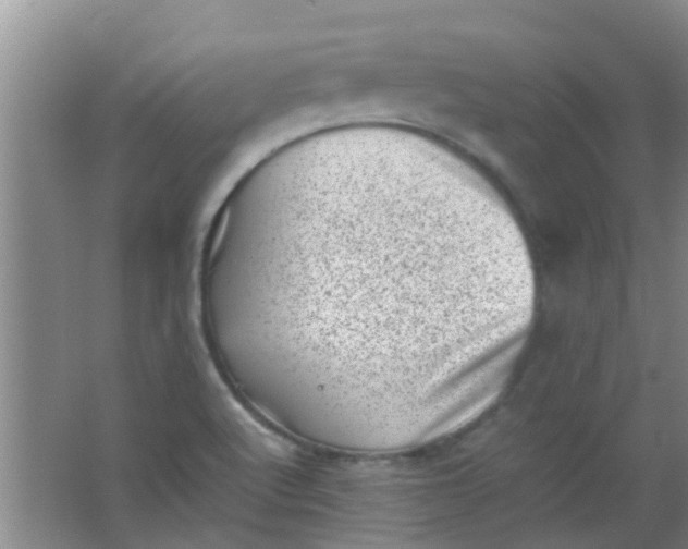 X0000062131512200512231424