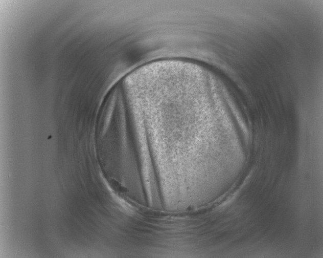 X0000062131513200512231424