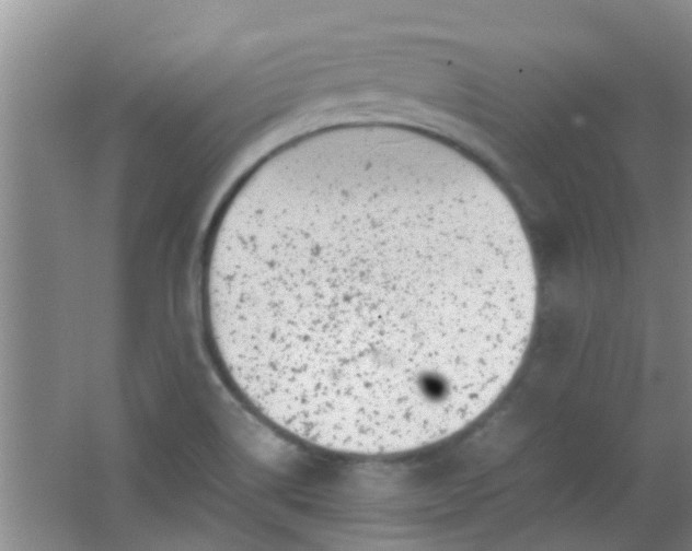 X0000062131514200512231424