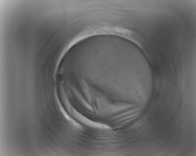 X0000062131515200512231424