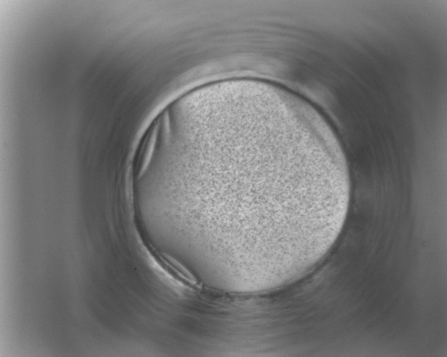 X0000062131516200512231424