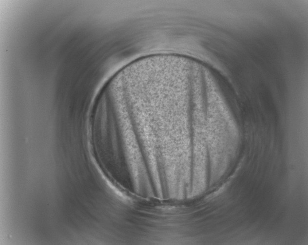 X0000062131517200512231424