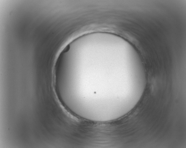 X0000062131520200512231424