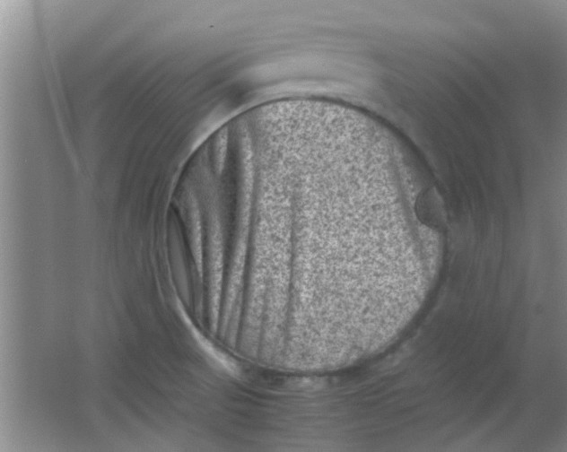 X0000062131521200512231424