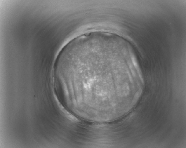 X0000062131522200512231424