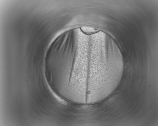 X0000062131523200512231424