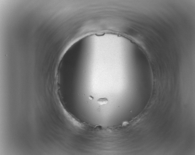 X0000062131524200512231424