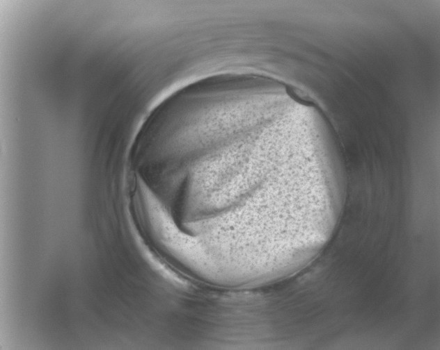 X0000062131526200512231424