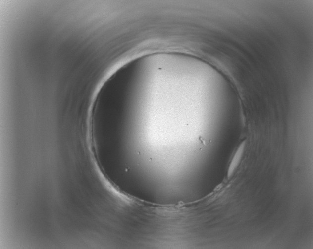 X0000062131528200512231424