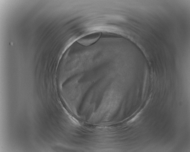 X0000062131529200512231424