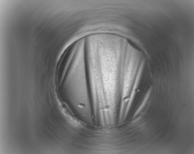 X0000062131530200512231424