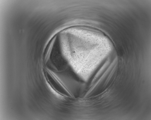 X0000062131531200512231424