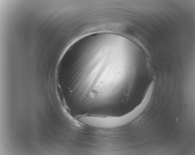 X0000062131532200512231424