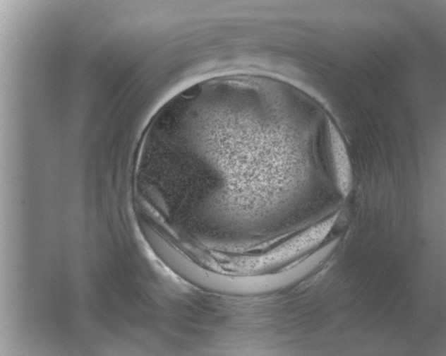 X0000062131534200512231424