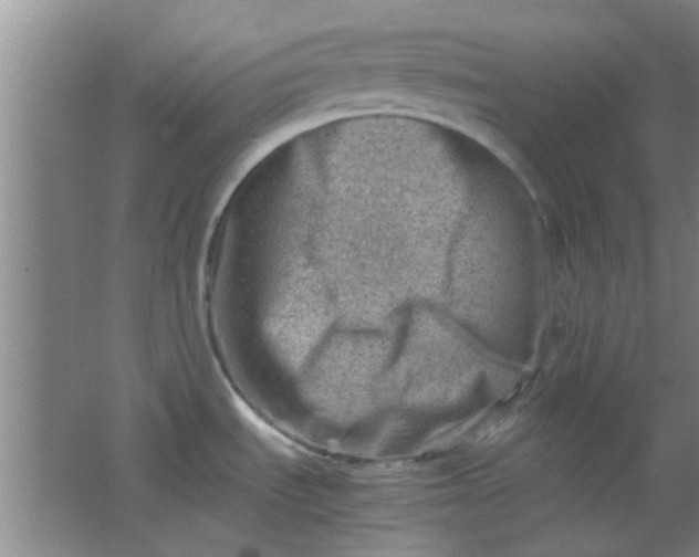 X0000062131535200512231424