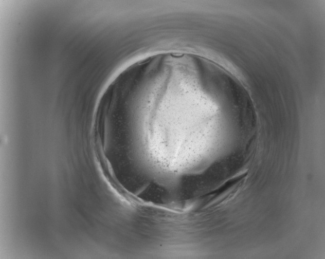 X0000062131536200512231424