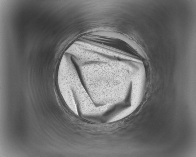 X0000062130001200512301513