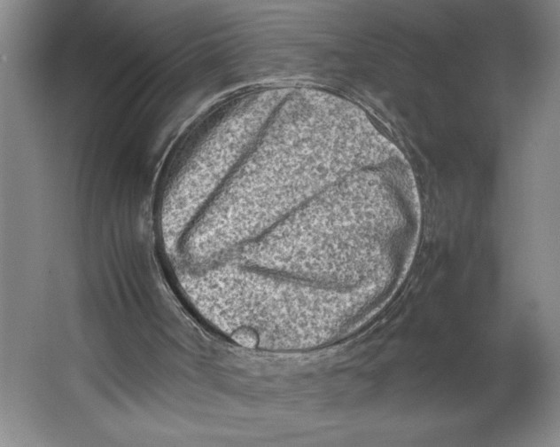 X0000062130002200512301513