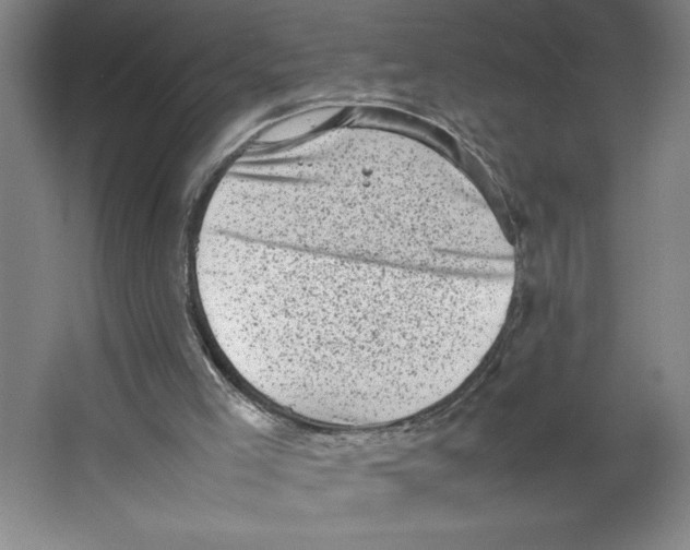 X0000062130005200512301513