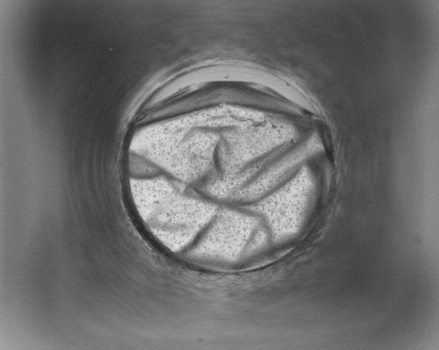 X0000062130007200512301513